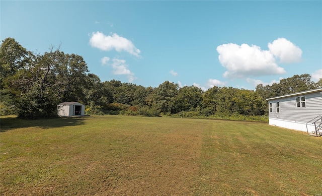 view of yard featuring a storage unit