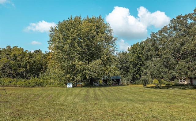 view of yard featuring a shed