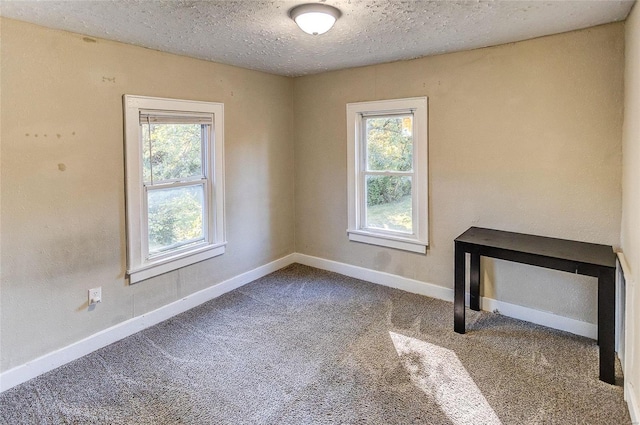 spare room with a healthy amount of sunlight and carpet