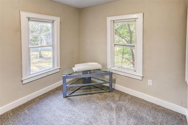 carpeted office space featuring plenty of natural light