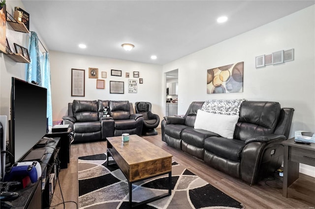 living room with hardwood / wood-style floors