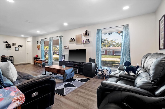 living room featuring hardwood / wood-style floors