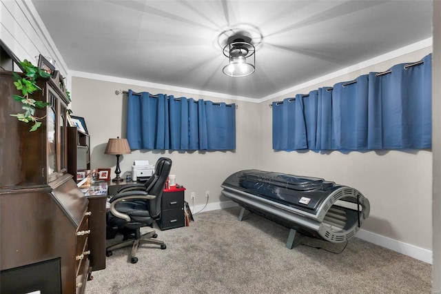 carpeted bedroom featuring crown molding