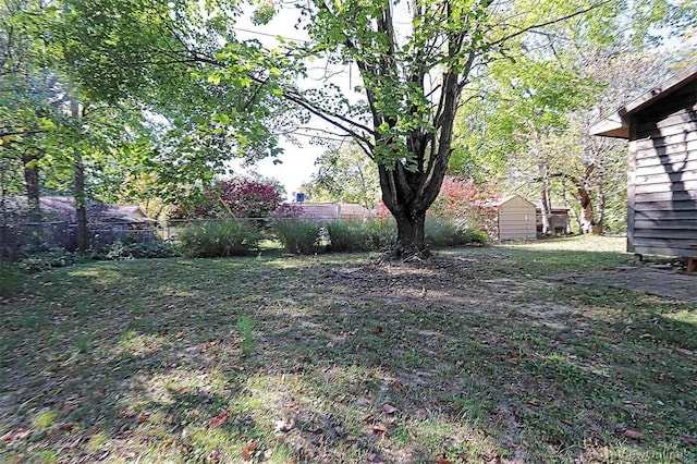 view of yard featuring a storage shed