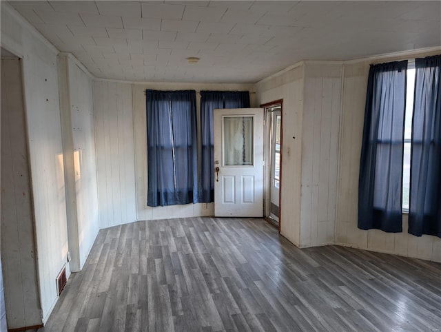 foyer featuring wood walls, wood-type flooring, and plenty of natural light