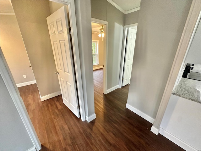 corridor featuring crown molding and dark hardwood / wood-style floors