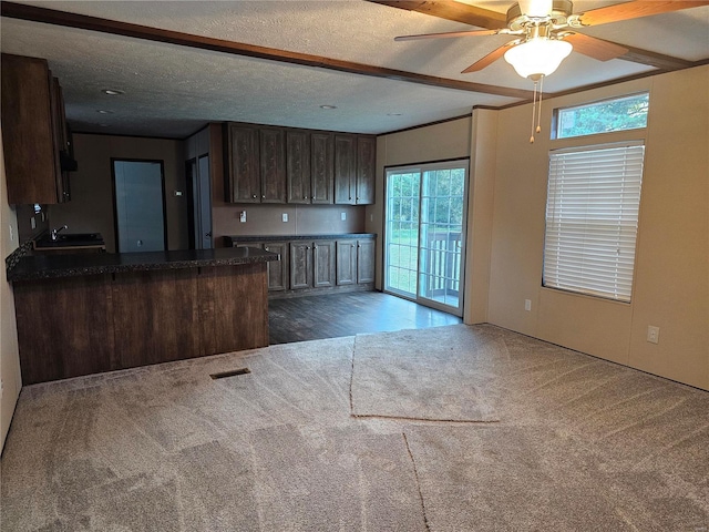 kitchen with a textured ceiling, dark brown cabinetry, dark carpet, and a wealth of natural light