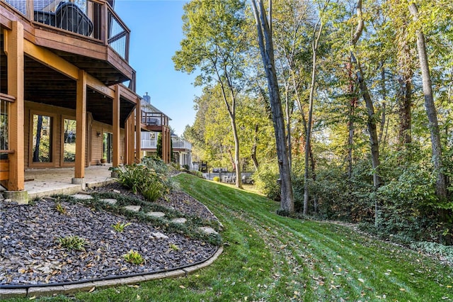 view of yard featuring a patio area