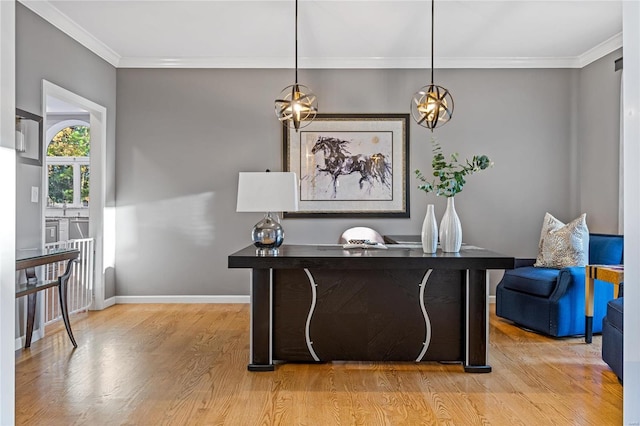 office featuring ornamental molding and light hardwood / wood-style flooring