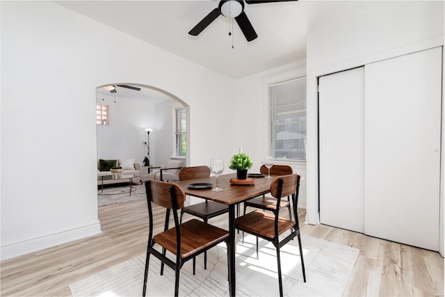 dining space with ceiling fan and light hardwood / wood-style flooring