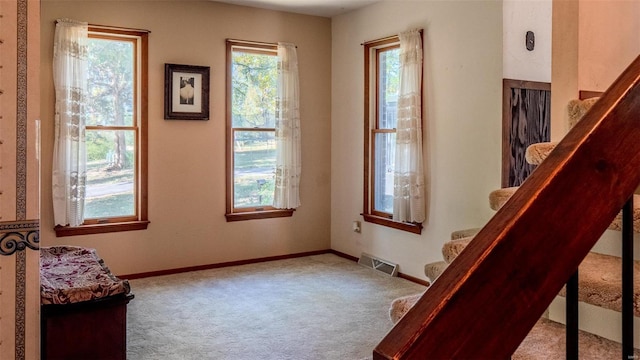 sitting room with a healthy amount of sunlight and light colored carpet