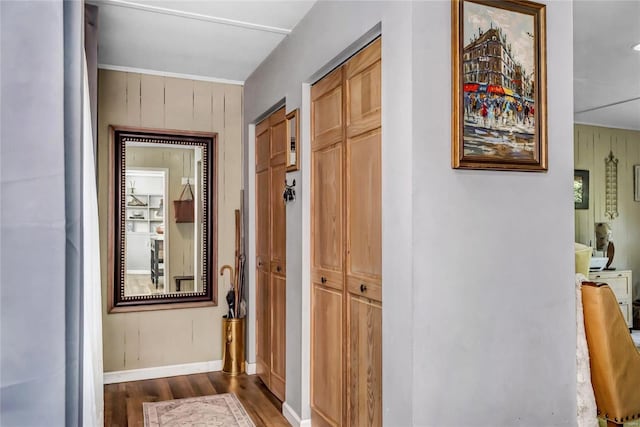 hall with wooden walls and dark hardwood / wood-style flooring