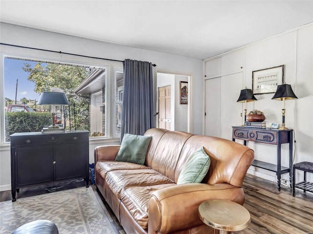 living room with hardwood / wood-style floors