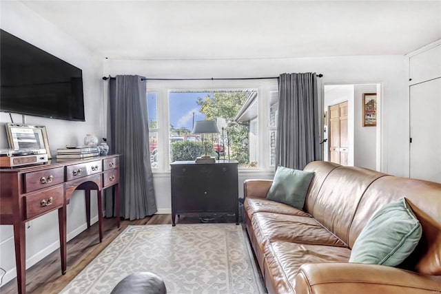 living room featuring light wood-type flooring