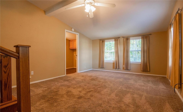 carpeted empty room with lofted ceiling with beams and ceiling fan