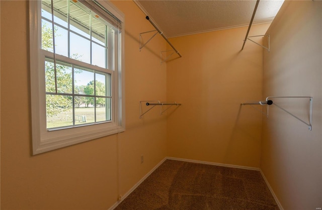 spacious closet with carpet flooring