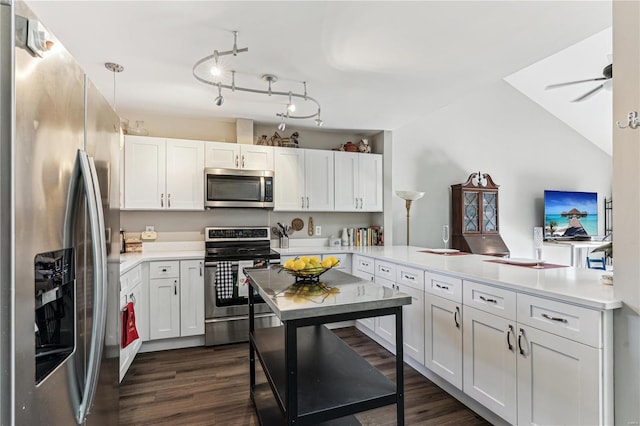 kitchen with white cabinets, dark hardwood / wood-style floors, kitchen peninsula, and stainless steel appliances