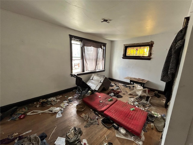 miscellaneous room featuring wood-type flooring