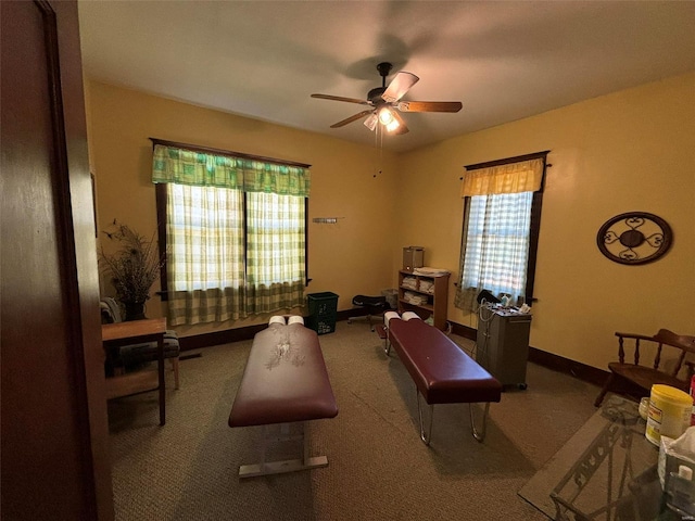 workout room with carpet floors and ceiling fan