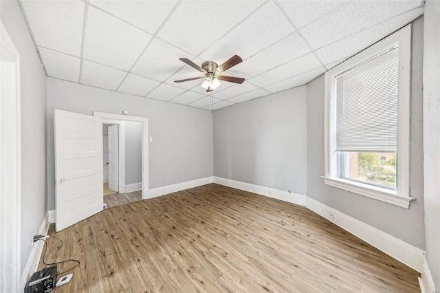 empty room featuring light hardwood / wood-style floors, a drop ceiling, and ceiling fan