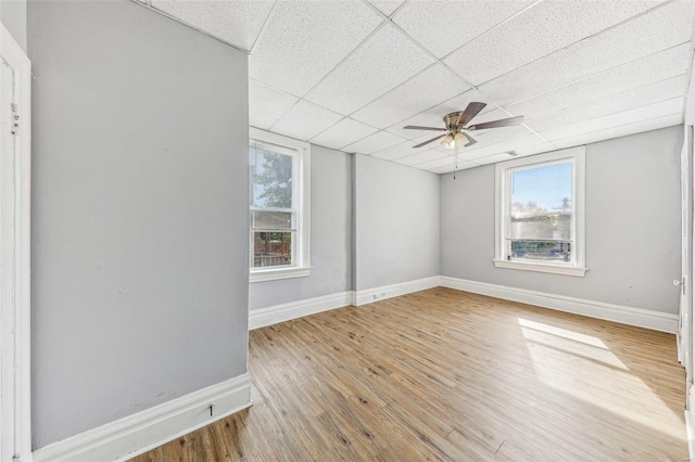 unfurnished room featuring a healthy amount of sunlight, a paneled ceiling, light hardwood / wood-style floors, and ceiling fan