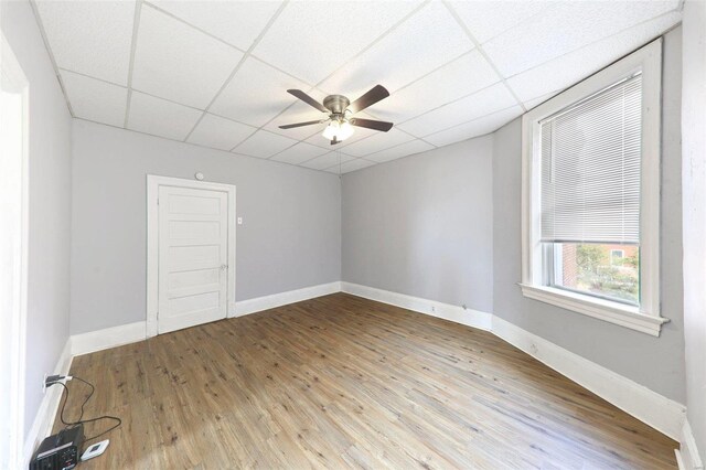 spare room featuring a drop ceiling, light wood-type flooring, and ceiling fan