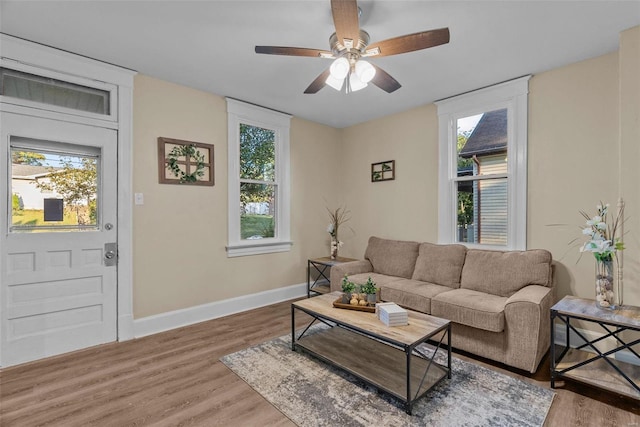 living room with hardwood / wood-style floors, ceiling fan, and a wealth of natural light