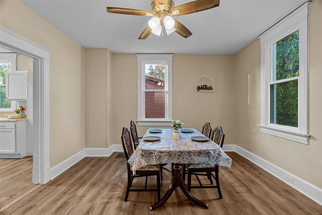 dining area featuring light hardwood / wood-style flooring and ceiling fan