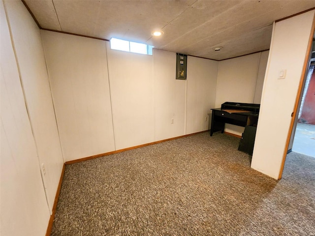 basement featuring carpet floors