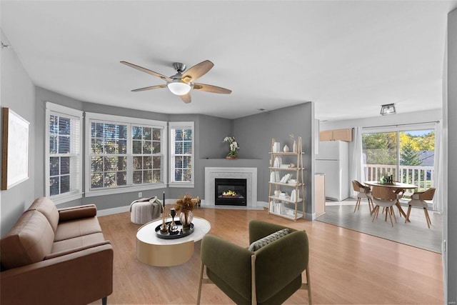 living room featuring a premium fireplace, light wood-type flooring, and ceiling fan