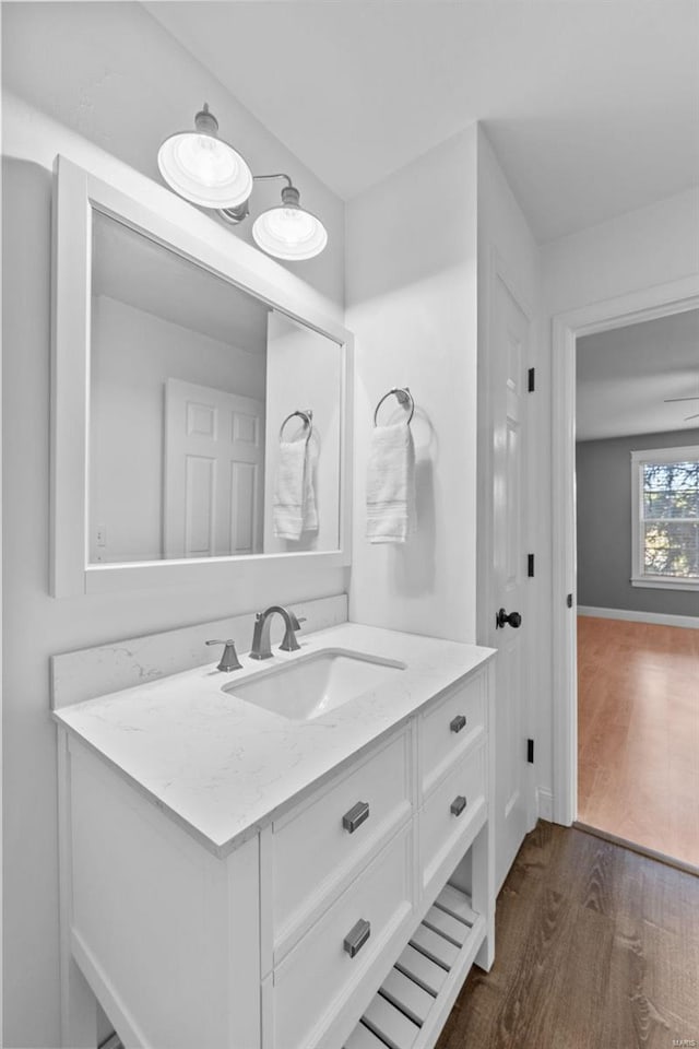 bathroom with vanity and wood-type flooring