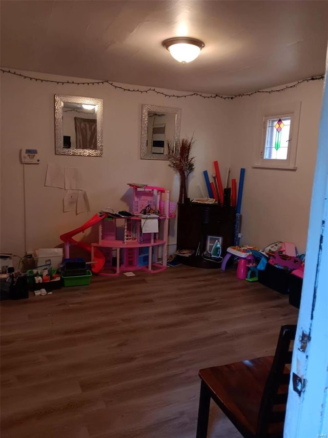 recreation room featuring wood-type flooring