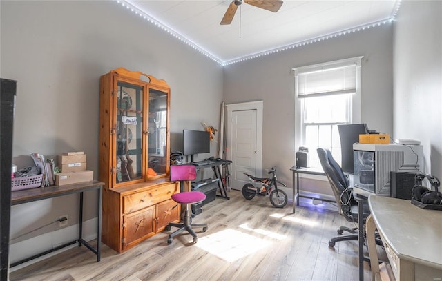 office space with ceiling fan and light hardwood / wood-style flooring