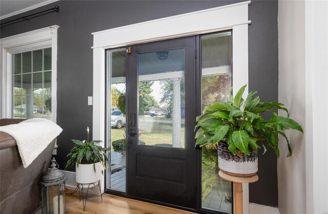 entryway with hardwood / wood-style flooring and a wealth of natural light