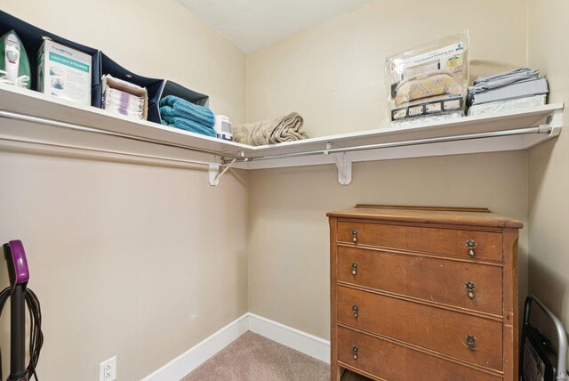 walk in closet featuring carpet floors