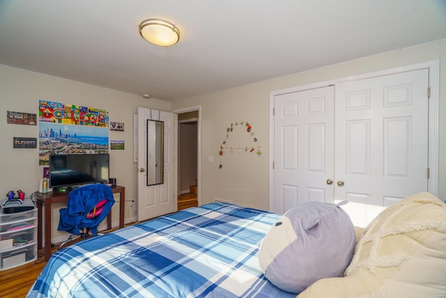 bedroom featuring a closet and wood-type flooring