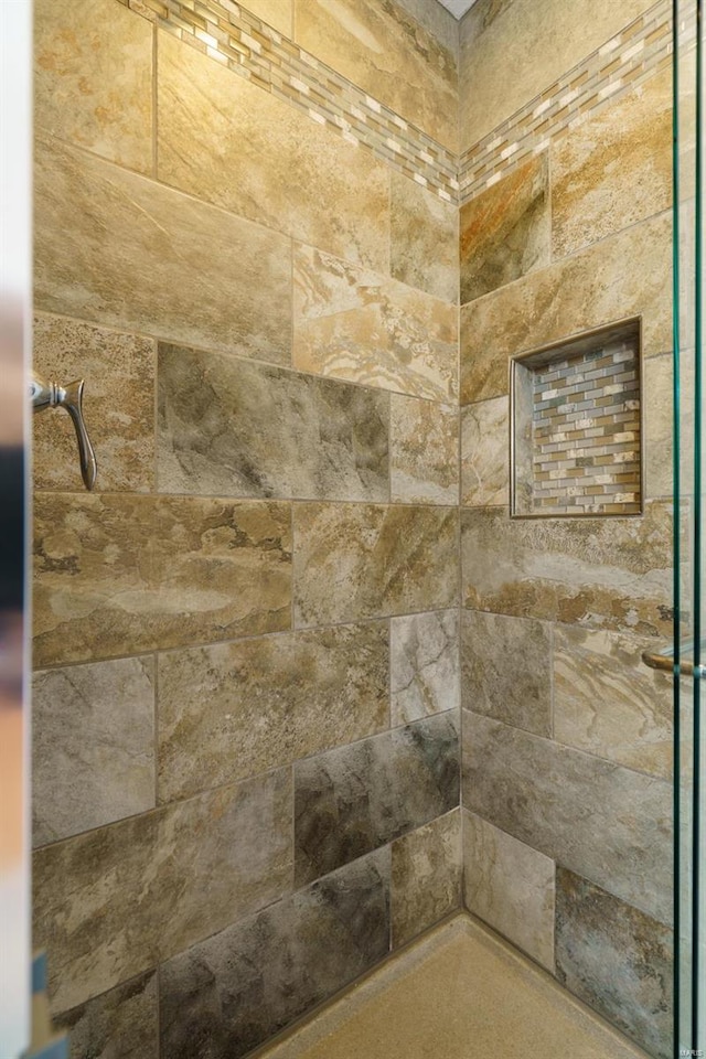 interior details with tiled shower