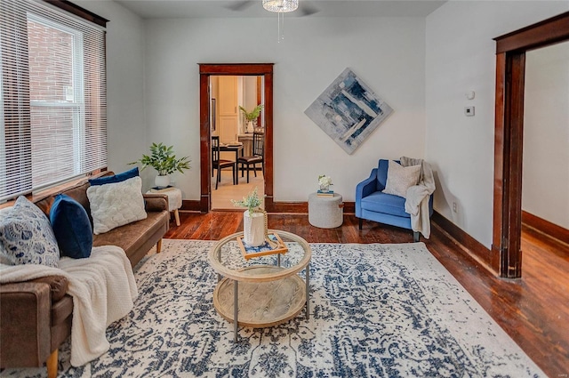 living room with ceiling fan and dark hardwood / wood-style flooring