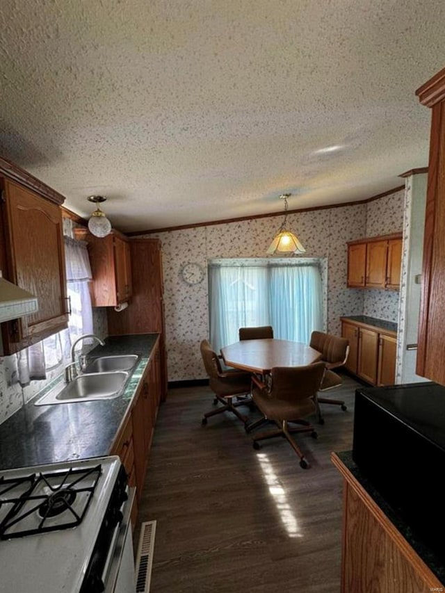 kitchen with sink, a textured ceiling, hanging light fixtures, and dark hardwood / wood-style floors