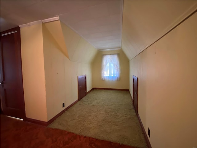 additional living space with light carpet and lofted ceiling