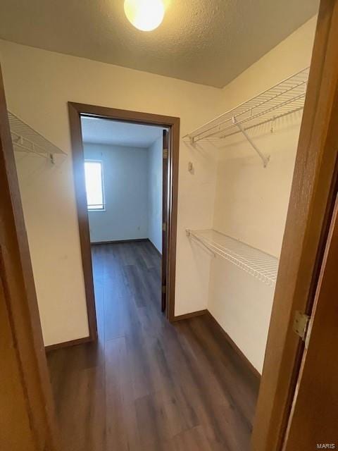 walk in closet featuring dark hardwood / wood-style flooring