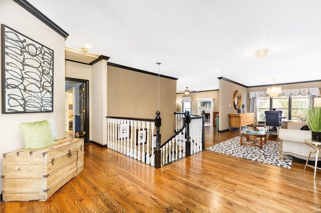 hallway featuring an inviting chandelier, ornamental molding, a healthy amount of sunlight, and hardwood / wood-style flooring