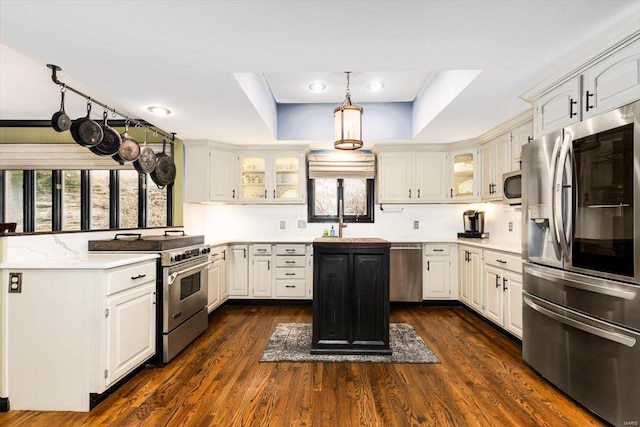 kitchen with dark hardwood / wood-style floors, decorative light fixtures, white cabinets, a tray ceiling, and stainless steel appliances