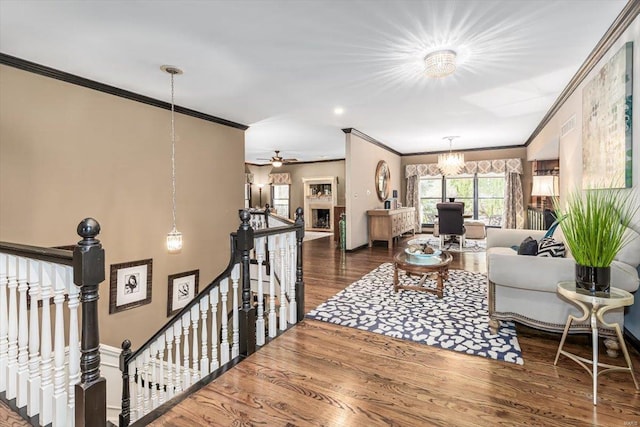 living room featuring crown molding, ceiling fan with notable chandelier, and dark hardwood / wood-style flooring