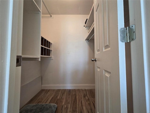 walk in closet with dark hardwood / wood-style flooring