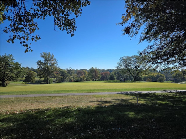 view of property's community featuring a yard