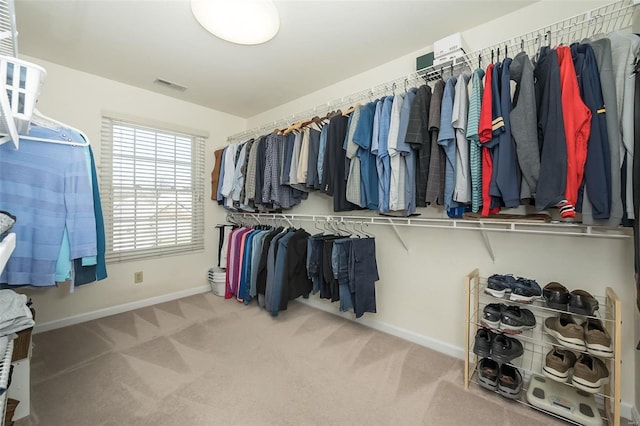 walk in closet featuring carpet floors