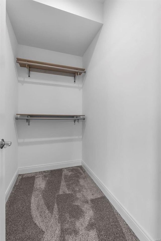 walk in closet featuring carpet floors