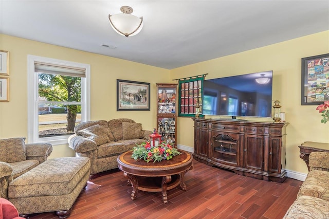 living room featuring dark hardwood / wood-style flooring