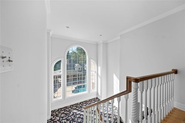 entryway featuring a healthy amount of sunlight and crown molding